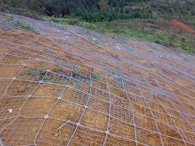 䓽z���x������(d��ng)���o(h��)�W(w��ng)