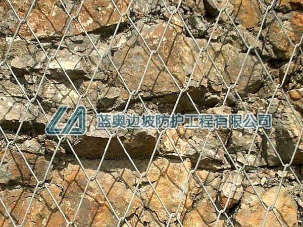 ߅�·��o(h��)�ߏ�(qi��ng)��䓽z���