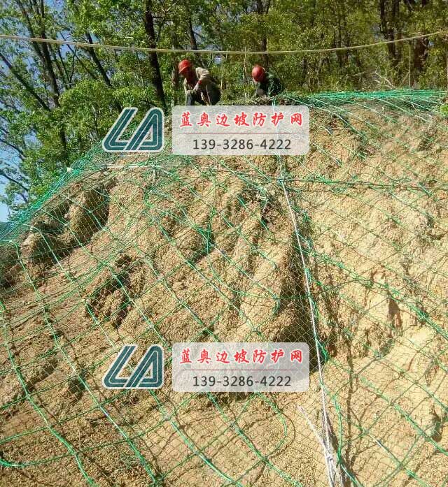 ���ӷ��o�W(w��ng)��������