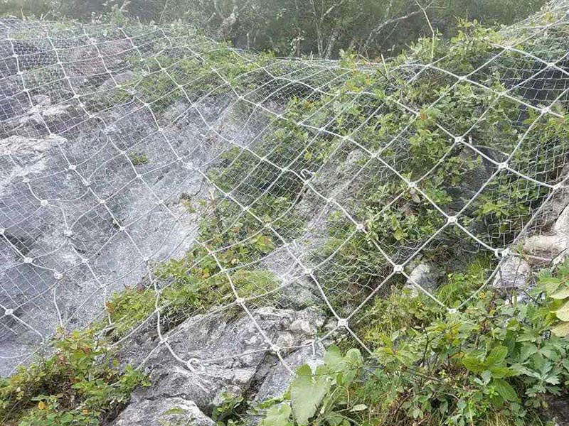 ߅�·��o(h��)�W(w��ng)��(y��ng)���������Щ�ط���Ҫ���b��