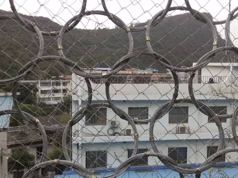 RXI-200�ͱ��ӷ��o(h��)�W(w��ng)