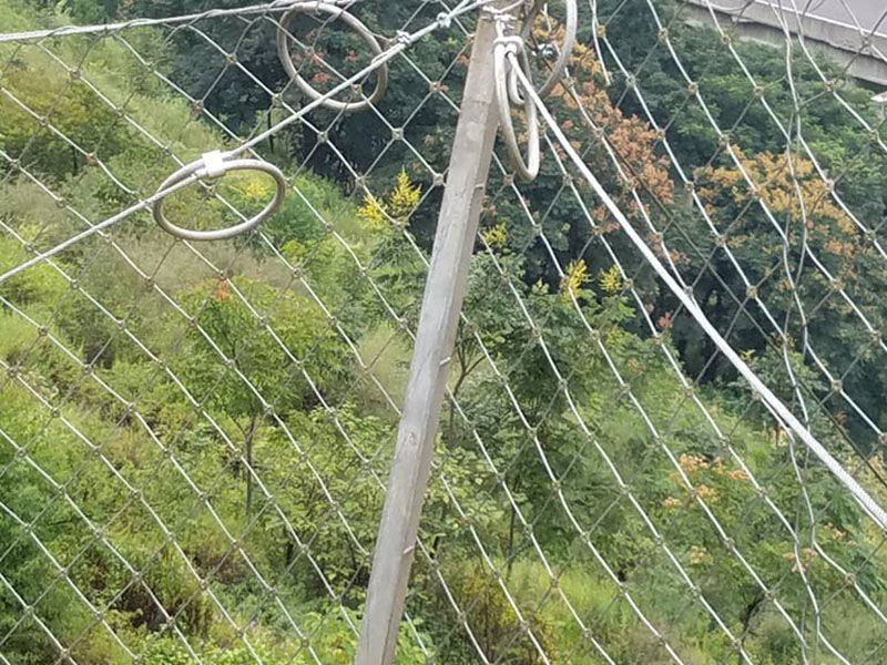 RX-075�ͱ��ӷ��o(h��)�W(w��ng)