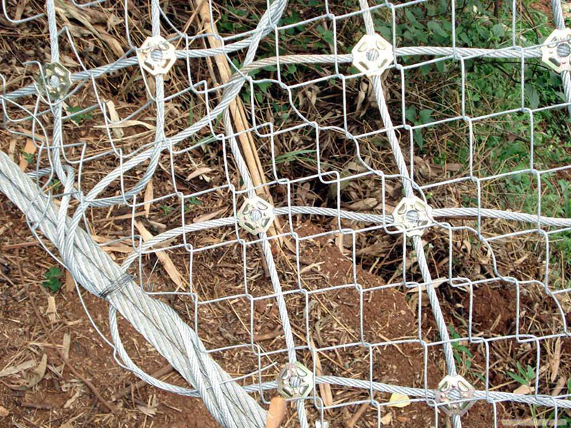 RX-050���ӷ��o(h��)�W(w��ng)